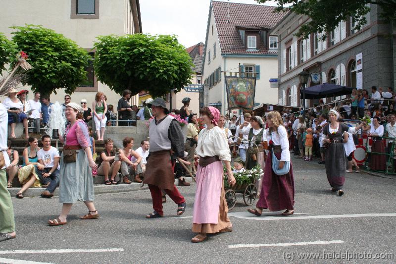 IMG_6519 (2) 